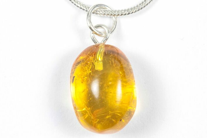Polished Baltic Amber Pendant (Necklace) - Contains Fly! #357922